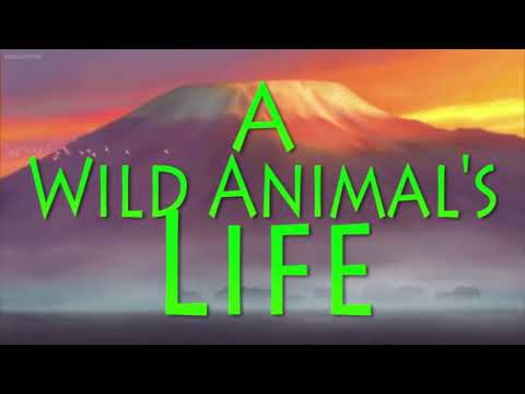 A Wild Animal's Life Part 1 - Opening/Harvest Time