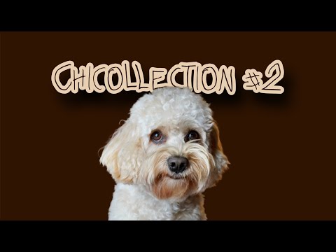 CHICOLLECTION Parte 2 - CHICO