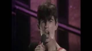 Sham 69 - Questions and Answers