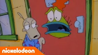 La Vida Moderna de Rocko: No tengo hijos - EPISODIO COMPLETO | Nickelodeon en Español