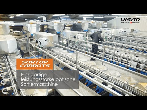 Visar Sorting Sàrl : Sortop Carrots - Sortierline mit 6 Sortiermaschinen Sortop Carrots