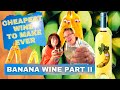 How to Make Wine from Fruit - Banana Wine Recipe - Cheapest Wine Banana Wine Part II
