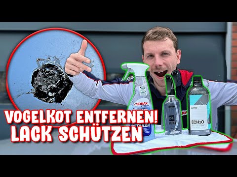 Schnell & Einfach: So Entfernst du Vogelkot vom Autolack - Die Besten Mittel im Test!