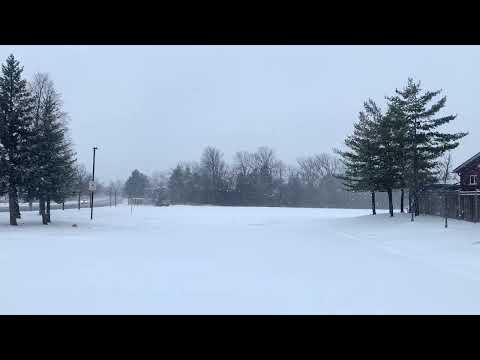 Snow weather #canada  #canadalife  #nature  #snow  #tree  #photography  #timing