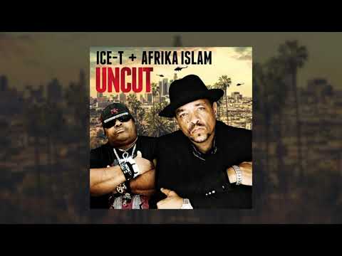 Ice-T - Dumb N**** (Prod. by Afrika Islam [Explicit][Remix])