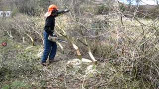 preview picture of video 'Hedge laying Ireland Noel Berkeley.AVI'