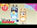 Neue Abenteuer Mit Bluey Bluey