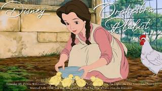 Little Friends on the Farm | Sweet Disney Orchestral Playlist for Deep Relaxation 🐓