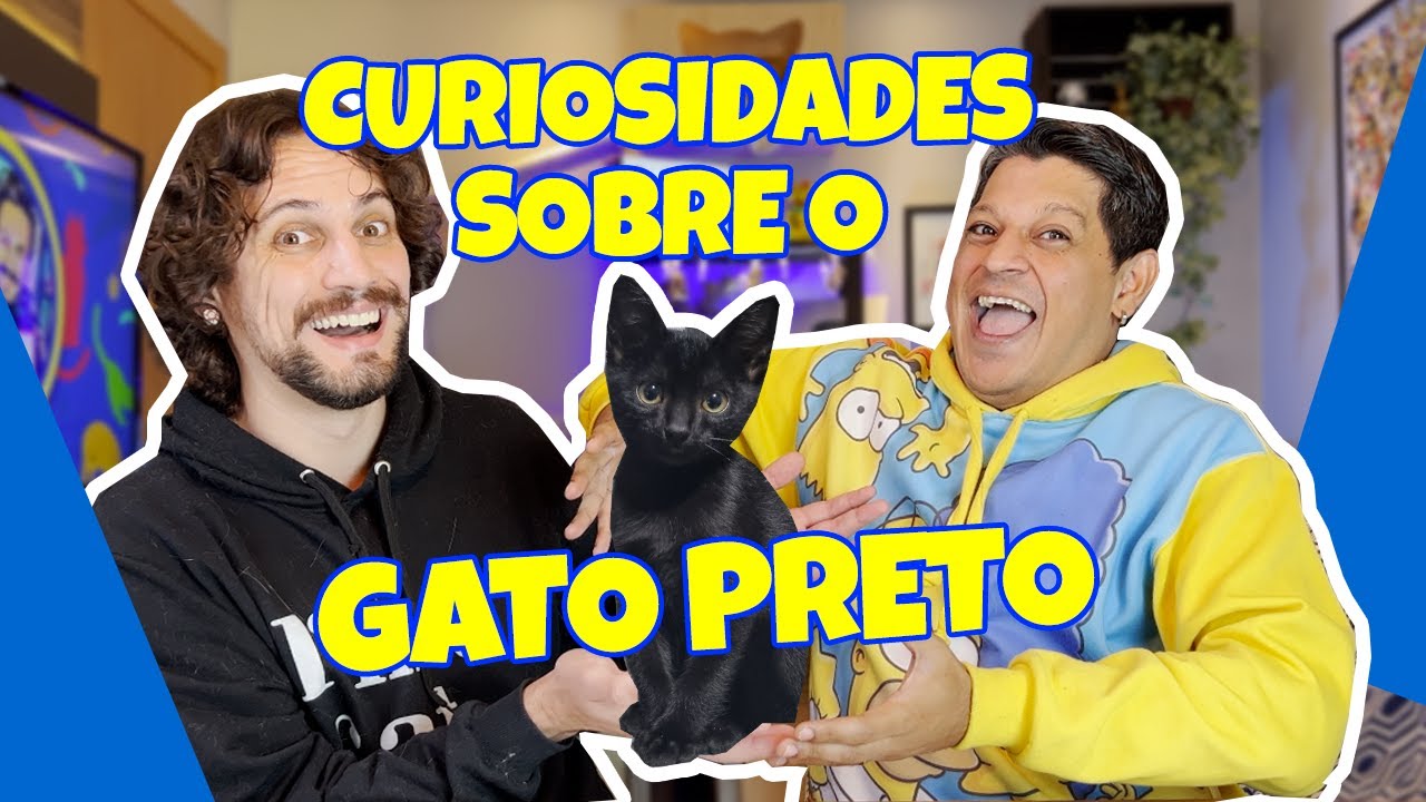 🔴 Você PRECISA adotar um GATO PRETO! 5 características desses GATOS LINDOS! 😻