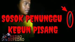 Download lagu MISTERI SOSOK PENUNGGU KEBUN PISANG PEDRO DUNIA TERBALIK 1 JULI 2020 mp3