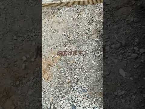 菜園の境界線か天然石か？選択してください。  庭園