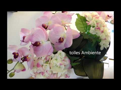 Pension Kirschblüte, Norden Norddeich