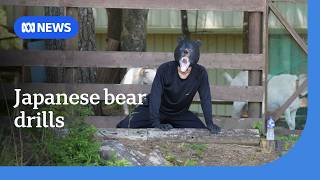 Japan holds bear drills amid rise in attacks and sightings | ABC NEWS