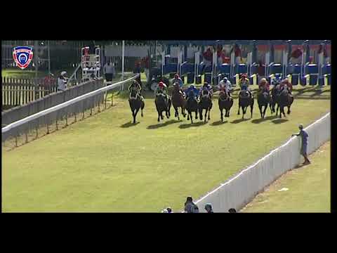 RM11 R5 | Bad Attitude | M.Nunes