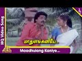 Maadhulang Kaniye Video Song Sami Potta Mudichu Tamil Movie Songs Murali Sindhu