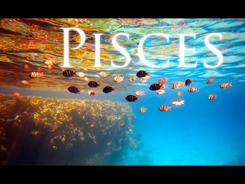 All about Pisces with Michele Knight