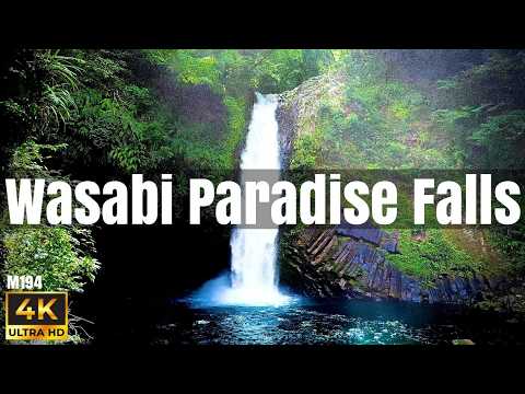 piscine-debordement-terasse-vue-centre-ville piscine à débordement