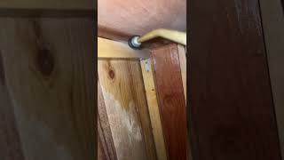 Infestation de cafards #désinsectisation #nuisibles #cafard #blatte