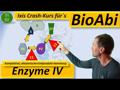 Enzyme 4: Anwendungsaufgaben kompetitive Hemmung, allosterische Hemmung, Endprodukthemmung - BioAbi