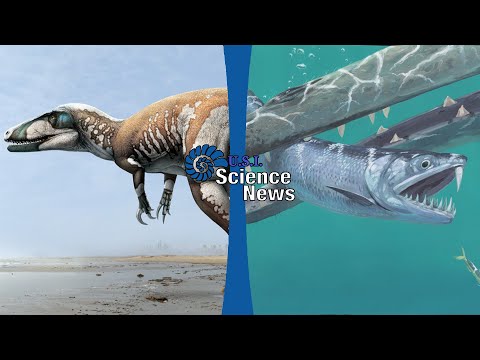 Nuovi Resti di Dinosauro Megaraptoro | Un'Acciuga dai Denti a Sciabola | Science News