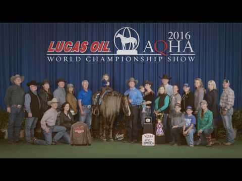 In Like Flinn: 2010 Sorrel Stallion