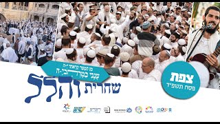 שידור חוזר | תפילת הלל בשירה שמחה וכוונת הלב מצפת | הרב שמואל אליהו | ה' חול המועד פסח תשפ"ד (הרב שמואל אליהו) - התמונה מוצגת ישירות מתוך אתר האינטרנט יוטיוב. זכויות היוצרים בתמונה שייכות ליוצרה. קישור קרדיט למקור התוכן נמצא בתוך דף הסרטון