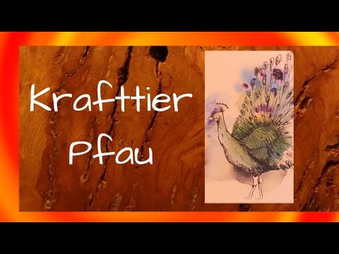 Krafttier PFAU 🧡 Wahre Schönheit kommt von innen, du entscheidest, wem du deine Farben zeigst