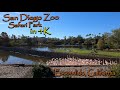 San Diego Zoo Safari Park African Tram Ride In 4K