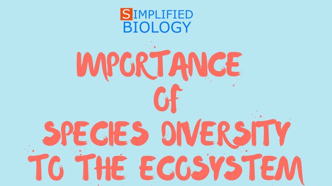 IMPORTANCE OF SPECIES DIVERSITY TO THE ECOSYSTEM for NEET, AIIMS, AIPMT, JIPMER, PREMED