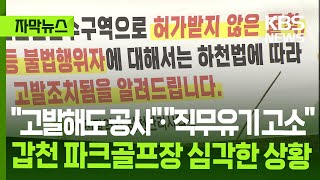 [자막뉴스] \ 고발해도 공사\ ·\
