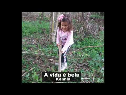 A Vida é bela video