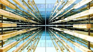 Domino Kapla: Singularity