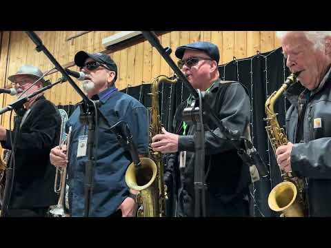 The Pulsators Band at the Hope for Harry Benefit, Nov 17, 2024