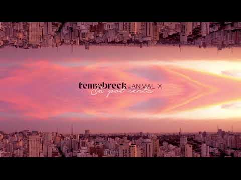 Tennebreck vs Animal X   Să pot ierta   Remi1