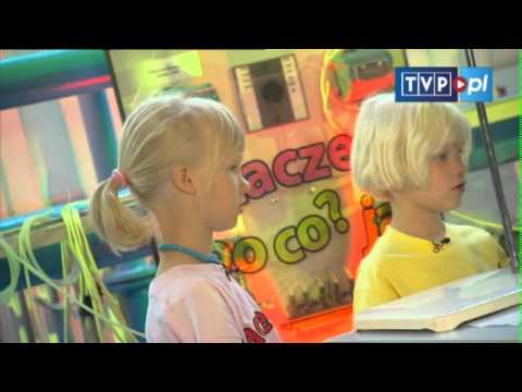 Dlaczego? Po co? Jak? - Deszcz, mysz i czekolada