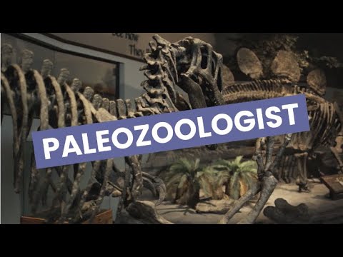 Paleozoologist video 1