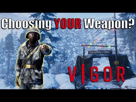 How to Pick the Best Gun for you In Vigor
