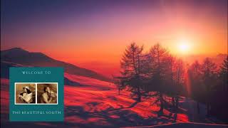 THE BEAUTIFUL SOUTH 🎧 LIVIN THING