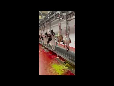 Amiral Slaughterhouse in Makkah