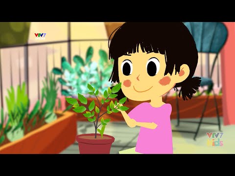 CÂY HÚNG CHANH KÌ DIỆU | Bài học làm người | Hoạt hình nuôi dưỡng tâm hồn trẻ | VTV7