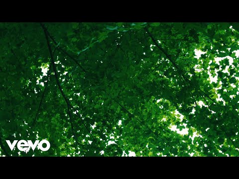 This Graveyard Is For Lovers - Leyla Ebrahimi