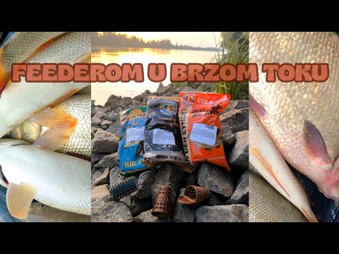 Feeder pecanje mrene na Dunavu 🎣 | Ribolov na velikoj rijeci