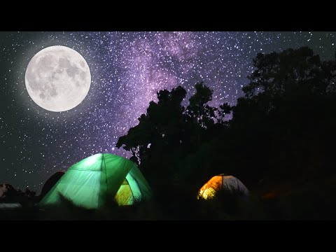 Kruger night sounds | Satara Rest Camp, South African savannah safari nature sounds 🌍104