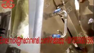 Bubble Vegetable Washer Machine Working Video|Fruit Cleaning Machine