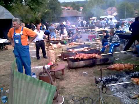 Prasićijada 2010 , Petrovac na Mlavi