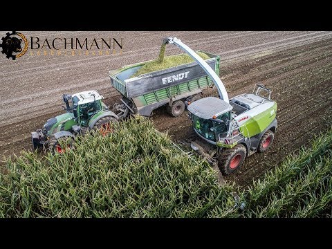 Maisernte 2019 | CLAAS Jaguar 960 | Bachmann Landwirtschaft