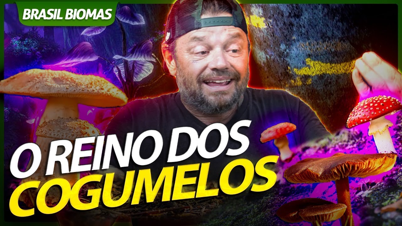 FUNGI, O FANTÁSTICO REINO DOS COGUMELOS! | BRASIL BIOMAS