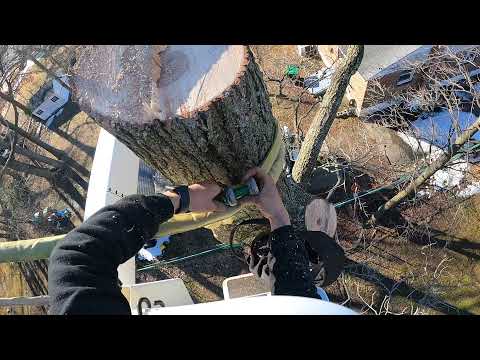 Full Landscape Transformation