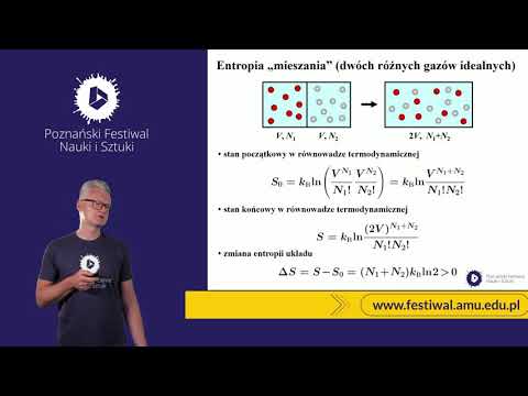 Demoniczne oblicza entropii