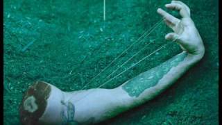 Jerry Cantrell - Chemical Tribe